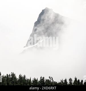 Mountain in Fog assomiglia a Wooly Mammoth con Tusk dello Spray Park Trail Foto Stock