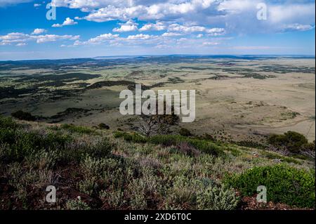 Monumento al Parco Nazionale del Vulcano Capulin Foto Stock