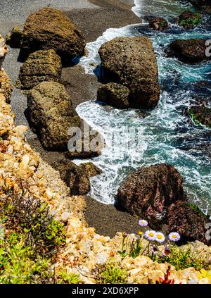 Riserva naturale statale di Point Lobos; Carmel; California; Stati Uniti Foto Stock