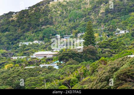 Case residenziali a Piha - nuova Zelanda Foto Stock