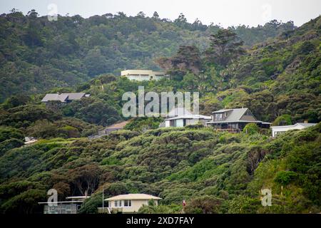 Case residenziali a Piha - nuova Zelanda Foto Stock