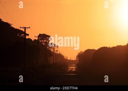 Tramonto sulla strada per Jackson Bay, West Coast, nuova Zelanda Foto Stock