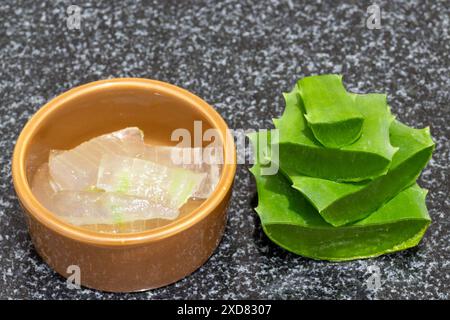 Primo piano di una ciotola di aloe vera appena tagliata con aloe vera affettata e impilata. Foto Stock