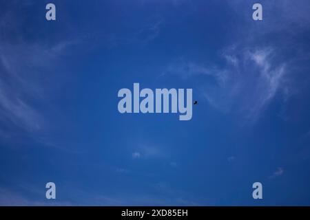 una cicogna che gira nel cielo in un giorno d'estate con nuvole bianche di cirrus Foto Stock