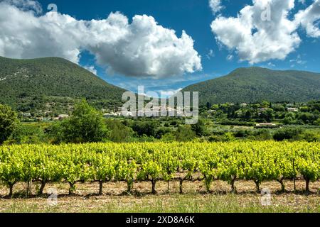 Villaggio di Venterol vicino a Nyons e ai suoi vigneti in Drôme provenzale. Drôme. Alvernia-Rodano-Alpi. Francia Foto Stock