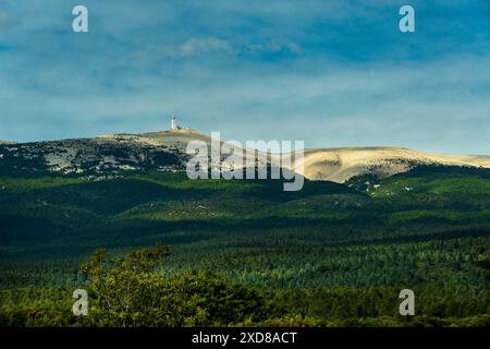 Parete sud del Mont Ventoux (1910 m). Vaucluse. Provence-Alpes-Côte d'Azur. Francia Foto Stock