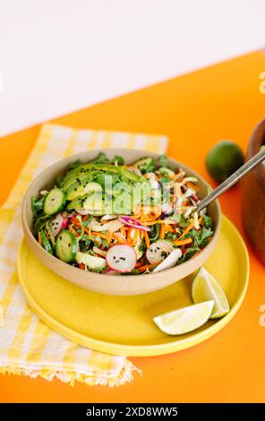 insalata colorata con carote, cavoli e fette di avocado Foto Stock