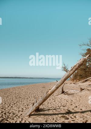 Northern Michigan Beach in inverno Foto Stock