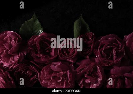 Accattivante disposizione di rose rosse scure con foglie verdi su sfondo nero, perfetta per design eleganti e romantici. Vista dall'alto. Bello Foto Stock