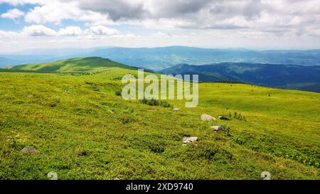 paesaggio di montagna dei carpazi dell'ucraina in estate. verde paesaggio alpino di mnt. rilassatevi con colline e prati erbosi in una giornata di sole. panoramica dell'area Foto Stock