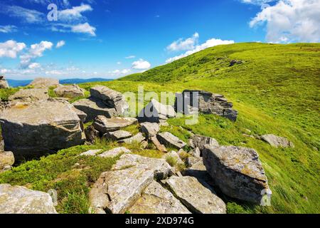 pietre e massi sulle colline e i prati erbosi alpini. paesaggio di montagna dei carpazi dell'ucraina in estate in una giornata luminosa e soleggiata. scen montuoso Foto Stock