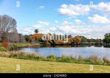 Centennial Park a Randwick Sydney, giorno invernale con colori autunnali sugli alberi, parco verde di Sydney e parco cittadino con lago acquatico, NSW, Australia, 2024 Foto Stock