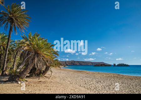 Vai Palm Grove a Vai Beach, vuoto prima dell'alta stagione, Pigeon Rocks (Peristerovrachoi) in lontananza, Sitia Geopark, Erimoupoli Bay, Mar Egeo, Eastern Foto Stock