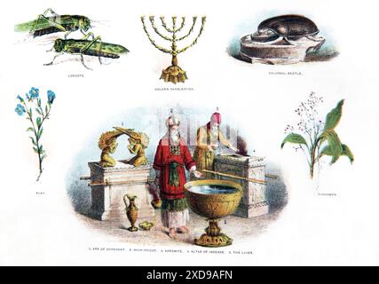 Pagina di Una Sacra Bibbia raffigurante il Sommo sacerdote con un Aaronita, l'Arca dell'Alleanza, il Laver, altare dell'incenso, cannella, lino, locuste, Gold Foto Stock