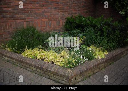 Carrello per la spesa riutilizzato del supermercato trasformato in vasi di fiori nel Garden Banstead Village Surrey, Inghilterra Foto Stock