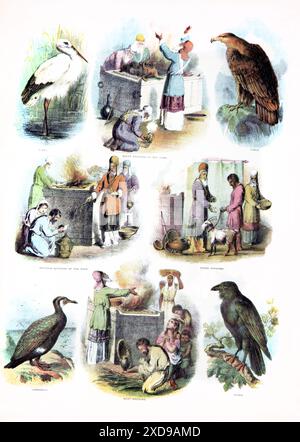 A Page in and Antique 19th Century Brown's Self-Interpreting Family Bible, che descrive diversi tipi di offerte bruciate - offerte bruciate della mandria, Foto Stock