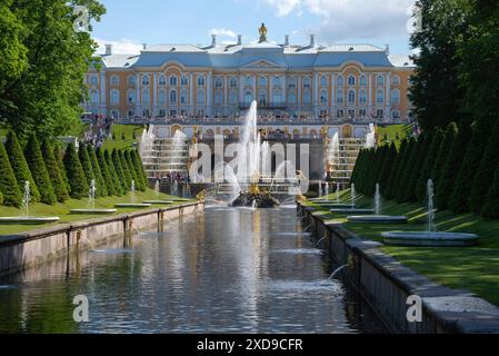 PETERHOF, RUSSIA - 13 GIUGNO 2024: Il Grand Palace e la Fontana di Sansone nel Parco di Nizhny. Peterhof Foto Stock