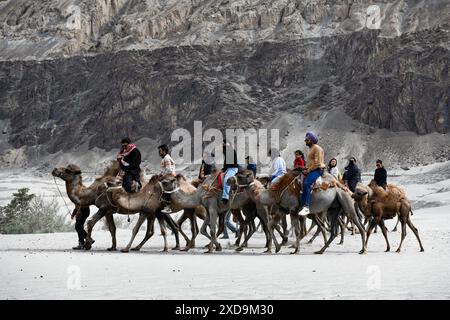 Nubra, Leh, Ladakh, India. 21 giugno 2024. I visitatori fanno un giro su cammelli battriani a doppia megattera nel parco divertimenti Sand Dunes della Nubra Valley in Ladakh, India. (Credit Image: © Basit Zargar/ZUMA Press Wire) SOLO PER USO EDITORIALE! Non per USO commerciale! Foto Stock