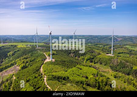 Veduta aerea, cantiere di costruzione del parco eolico Stoppelberg tra Hohenlimburg e Brechtefeld, nuove turbine eoliche nella zona forestale con danni forestali, Veserd Foto Stock