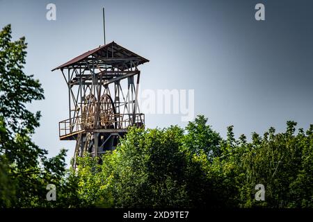 Una testata arrugginita che torreggia sul lussureggiante Foliage Foto Stock