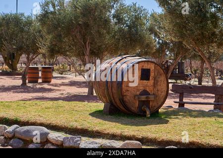 Vecchia botte di legno per conservare bevande alcoliche ALL'APERTO un vigneto a Cafayate, Salta, Argentina Foto Stock