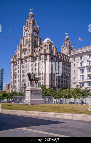 Il famoso edificio del fegato che si affaccia sul fiume Mersey e ormeggia a Liverpool. Foto Stock
