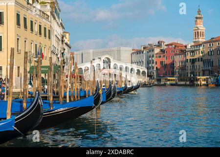 Porto con molte cabinovie sul Canal grande e Ponte di Rialto con vecchi edifici in una giornata di sole a Venezia, Veneto, Italia Foto Stock