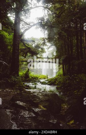 Romantico ponte pedonale su un fiume, sullo sfondo una pittoresca cascata nel mezzo di un verde paesaggio forestale, Whangarei, nuova Zelanda Foto Stock