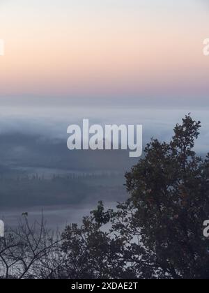 Il castello di Szigliget in una mattinata nebbiosa con una bella luce, una collina del castello che emerge dalla nebbia con un forte medievale in rovina, vista aerea Foto Stock