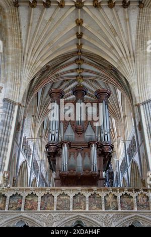 Vista interna, organo, Cattedrale di Exeter, Exeter, Inghilterra, gran Bretagna Foto Stock