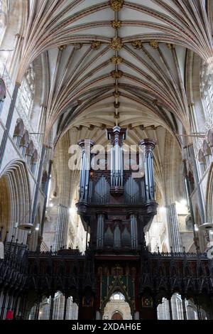 Vista interna, organo, Cattedrale di Exeter, Exeter, Inghilterra, gran Bretagna Foto Stock