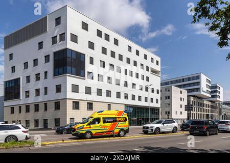 Klinikum Stuttgart mit Stuttgart Cancer Center SCC, Onkologisches Zentrum. Tumorzentrum Eva Mayr-Stihl. // 19.06.2024: Stoccarda, Baden-Württemberg, Deutschland, Europa *** Klinikum Stoccarda con Stoccarda Cancer Center SCC , Oncology Center Tumor Center Eva Mayr Stihl 19 06 2024 Stoccarda, Baden Württemberg, Germania, Europa Foto Stock