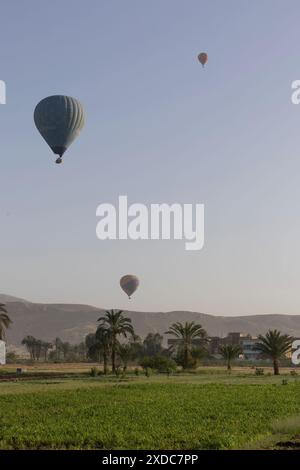 Tre mongolfiere galleggiano al mattino presto su palme e colline vicino alla Valle dei Re a Luxor, in Egitto. Foto Stock