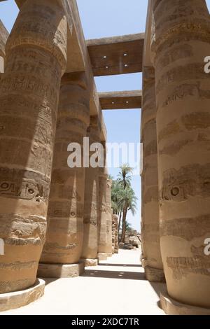 Audaci incisioni a rilievo affondato sulle grandi colonne a forma di papiro chiuse nella sala ipostila del complesso Amun-Ra nel tempio di Karnak, Luxor, Egitto. Foto Stock