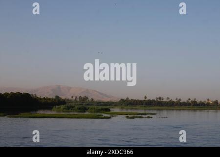 La quiete dell'alba sul fiume Nilo nei pressi di Esna, in Egitto, disturbata solo da due uccelli in volo. Foto Stock