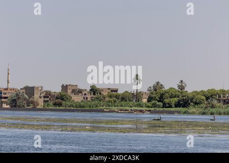 I pescatori tirano le reti sul Nilo tra Luxor ed Esna di fronte al loro villaggio, mentre donne e bambini sono occupati sulle rive del fiume. Foto Stock