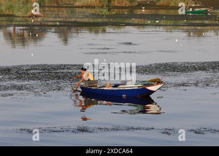 Un pescatore egiziano in pantaloncini corti e cisterna gialla sulla sua barca a remi di legno porta su una piccola rete con il pesce pescato dal fiume Nilo, in Egitto. Foto Stock