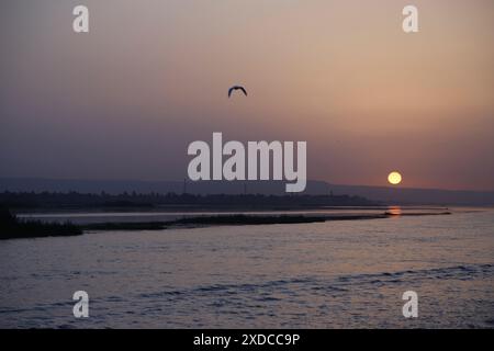 Tramonto e uccello in volo sul Nilo vicino a Esna, Egitto. Foto Stock