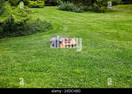 Un robot rasaerba arancione taglia l'erba sul prato verde del parco. Foto Stock