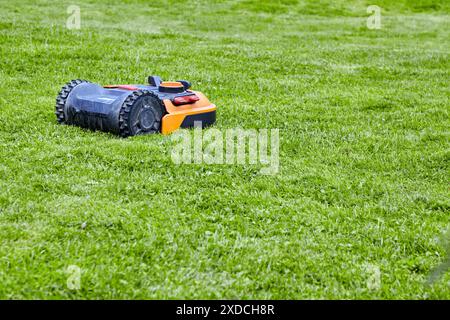 Rasaerba robotizzato arancione automatico su un prato verde soleggiato del parco. Foto Stock