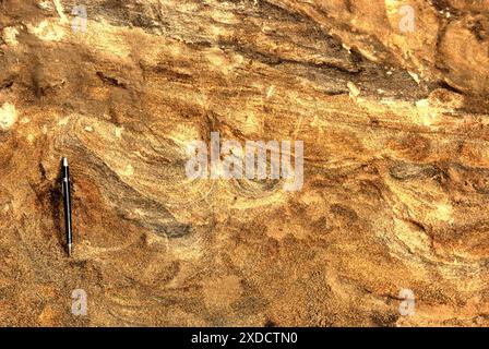 Strati di suolo contenenti informazioni sui processi geologici nel sito di scavo delle ossa fossili di Elephas hysudrindicus, elefante estinto. Foto Stock