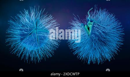 Illustrazione di particelle di virus gigante (phylum Nucleocytoviricota) che rilasciano DNA. In Nucleocytoviricota, il DNA virale viene rilasciato attraverso una struttura molecolare chiamata stargate. Le condizioni relativamente saline e acide all'interno di una cellula ospite attivano l'apertura dello stargate. I virus giganti contengono DNA a doppio filamento e possono essere più grandi dei batteri tipici. Foto Stock