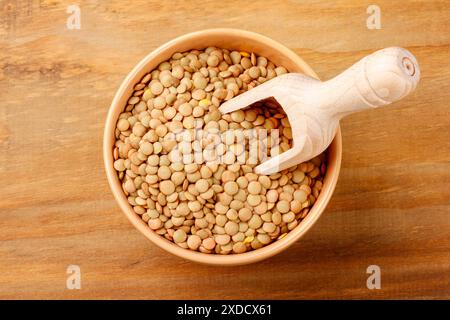 Marcare lenticchie grezze secche in una ciotola di ceramica su un tavolo in legno rustico. Vista dall'alto Foto Stock