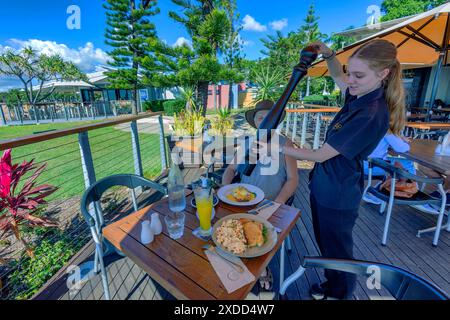 Bella giovane cameriera che usa un mulino gigante al C-Bar, un famoso ristorante sul mare, Strand Park, Townsville, far North Queensland, FNQ, austr Foto Stock
