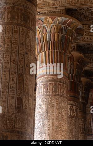 Una colonna recentemente restaurata nel Tempio di Khnum, Esna, Egitto, rivela i ricchi colori e le opere d'arte dettagliate che sono rimaste nascoste per secoli. Foto Stock