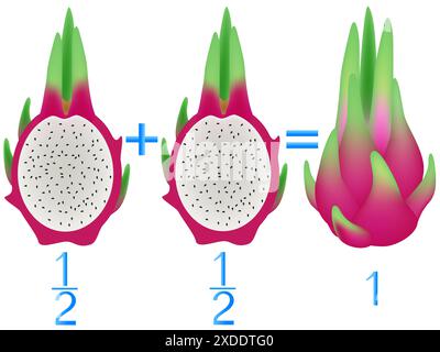 Relazione d'azione delle metà di addizione, esempi con pitahaya. Gioco educativo per bambini. Illustrazione Vettoriale