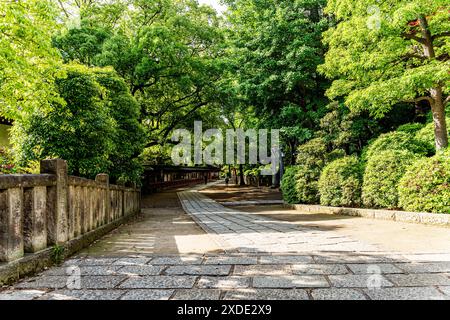 Sentiero alberato a Nezu Jinja, un santuario shintoista fondato nell'era Tokugawa e situato nel quartiere Bunkyō di Tokyo, Giappone Foto Stock