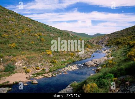 Orizzontale. Riserva naturale della Sierra de Gredos, provincia di Avila, Castilla Leon, Spagna. Foto Stock