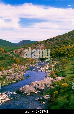 Fiume Barbellido, Sierra de Gredos Riserva Naturale, Hoyos del Espino, provincia di Avila, Castilla Leon, Spagna. Foto Stock