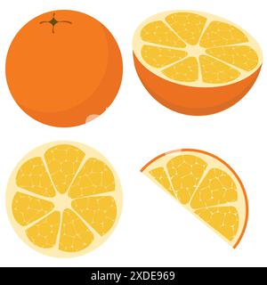 Arance sane frutta fresca, intera, metà e quarto isolata su sfondo bianco Illustrazione Vettoriale